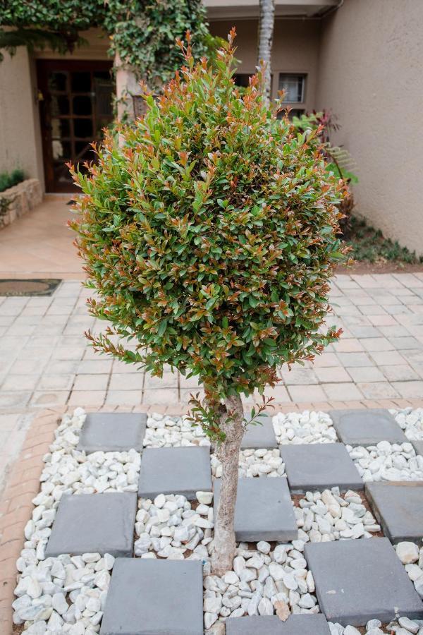 4 Gazelle Guesthouse Mbombela Ngoại thất bức ảnh